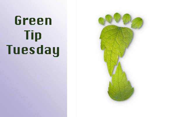 Green Tip Tuesday Carbon Footprint