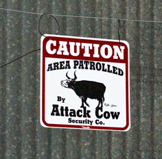 Area Patrolled by Attack Cow sign