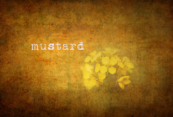 mustardmain