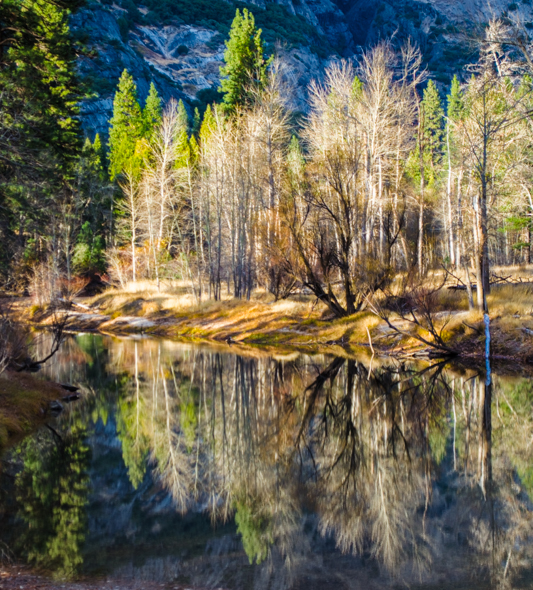 Yosemite Valley view