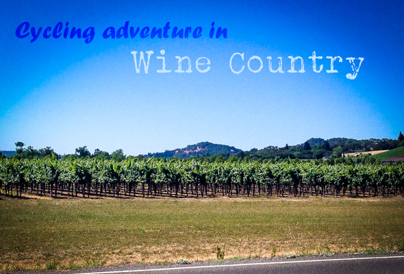 cycling in wine country