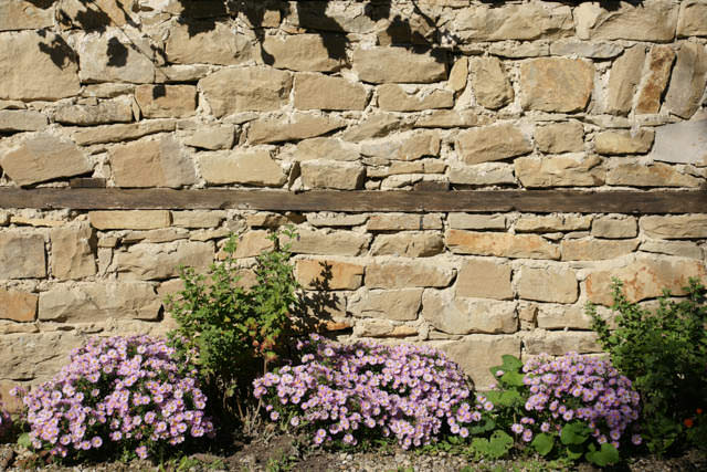 stone wall with flowers blooming