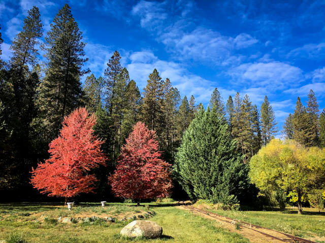 Fall Colors in Nevada City
